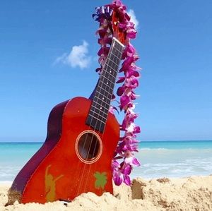 Meet your Posher, Kris the uke chick